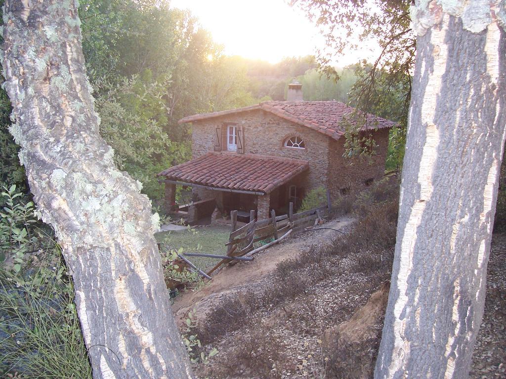 Casa El Alamillo Landhaus *