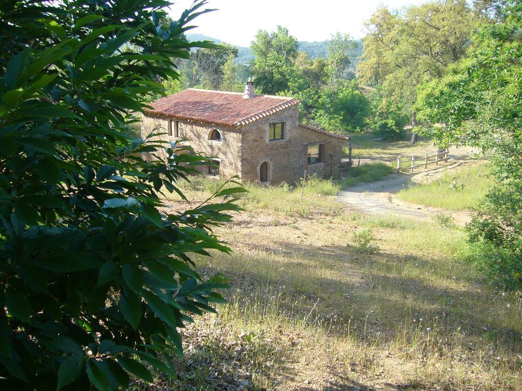 Casa El Alamillo * Galaroza